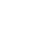 Skyhigh Security certification