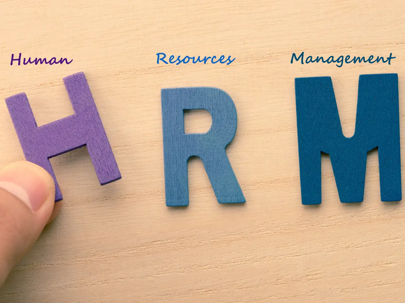 Human Resource Management (HRM) drives business success